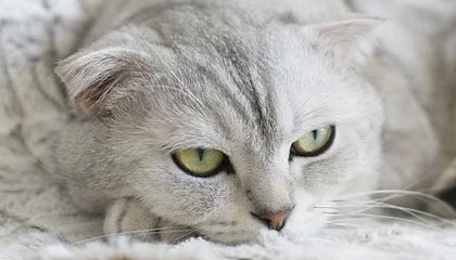 伴游微信，联系方式